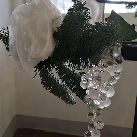 Viabasso11 3* ノーヴィ・リーグレ