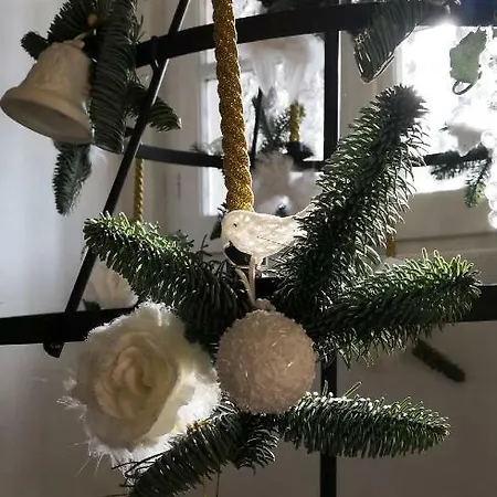 Viabasso11 Guest house 3*